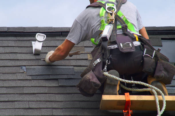 Best Roof Restoration  in USA